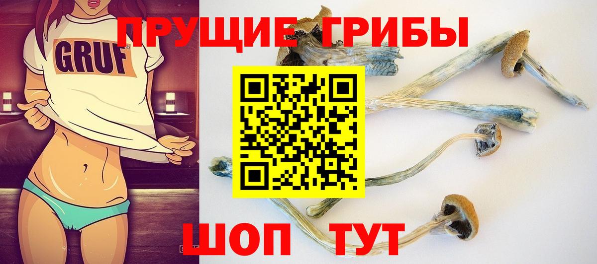 Галлюциногенные грибы Psilocybine cubensis  Вход с VPN  Сергиев Посад  Галлюциногенные грибы Magic Shrooms 
